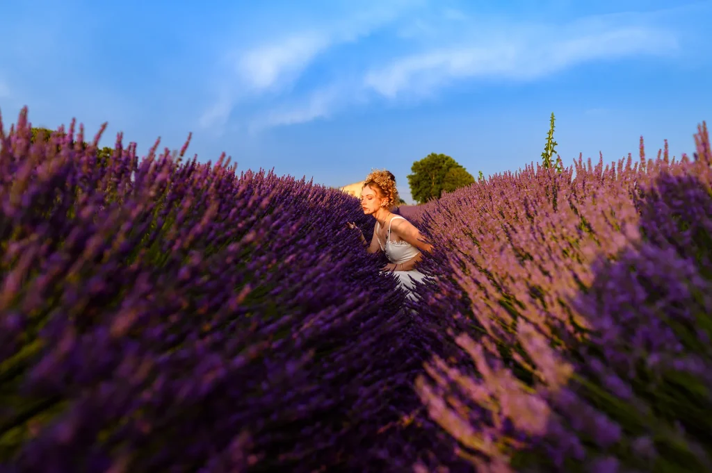 La lavande en Provence : palette de couleurs à explorer, du mauve au violet profond, pour des photos de mariage uniques et vibrantes